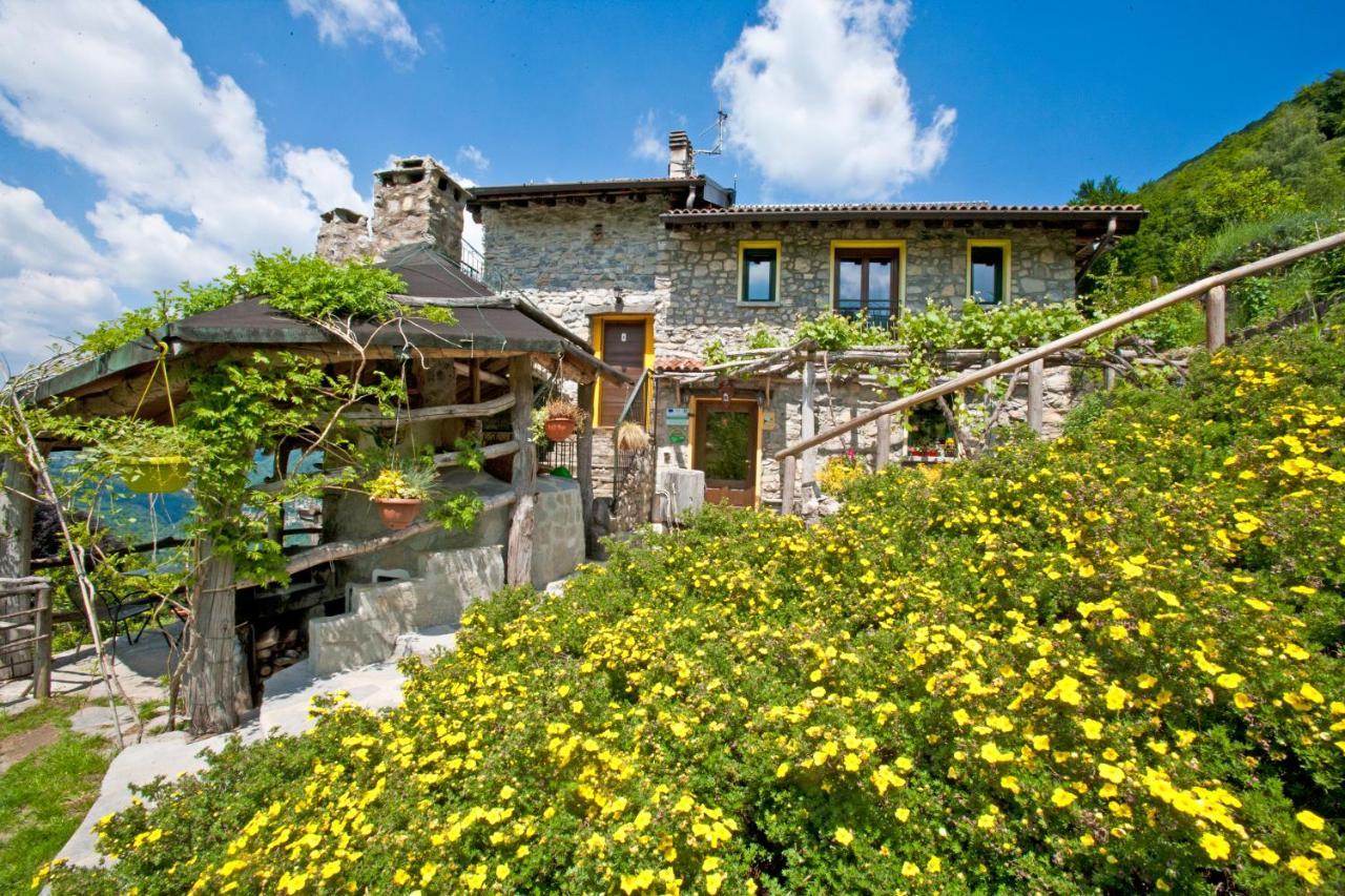 Agriturismo Al Marnich Schignano  Екстериор снимка